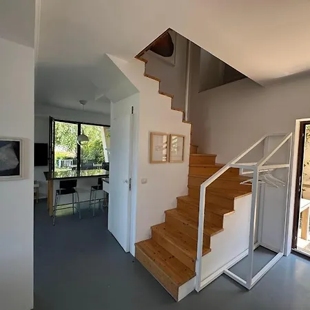 Apolonia Daire Süzebolu