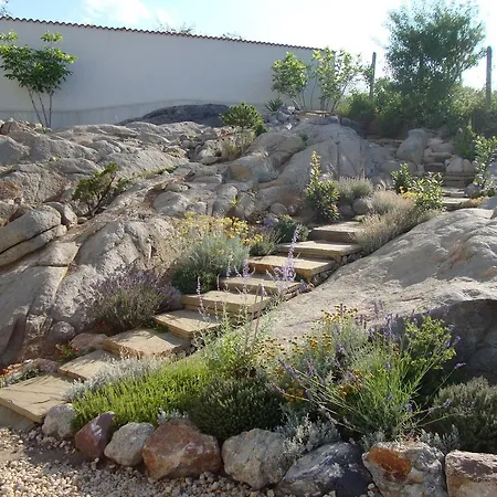 Daire Apolonia Süzebolu